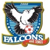 Falcons White Logo