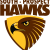 South-Prospect FC Logo