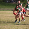 SHANE WILLIAMS HANDBALLS AS HEALESVILLE TRY ON A TACKLE