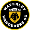 Waverley Wanderers FC Yellow Logo
