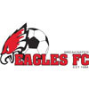 Breakwater Eagles SC Logo
