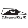 Collingwood City FC (E & L) Logo