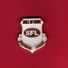 The Hall of Fame lapel badge presented to each inductee during the presentation.