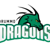 DRUMMO DRAGONS GREEN Logo
