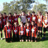 2012 - Under 14s Cup Winners