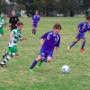Round 2 Southern Cross Strikers v South East Cougars and Northern Allstars U13