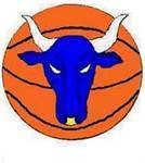 Bedford Bulls Basketball Club