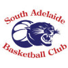 South Adelaide Panthers 1 Logo