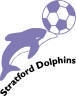 Stratford Dolphins Mens FC (Reserve)