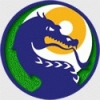 Douglas Dragons Logo