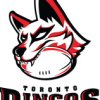 Toronto Dingos Logo