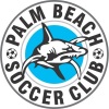 Palm Beach White Logo