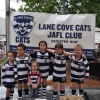 Lane Cove Cats 2013