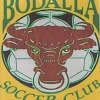 Bodalla Gold Logo