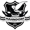 Hahndorf U12 Logo