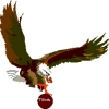 Traralgon T-Birds Logo