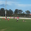 Sydney Swans Training Session