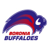 Boronia Buffaloes B12.1