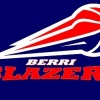 Berri Logo