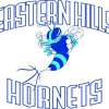 Eastern Hills White Logo