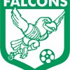 Enfield City Logo