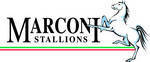 Marconi Stallions