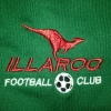 Illaroo White Logo