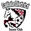 Callala Brumbies Logo