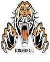 Bomaderry Tigers 2016 U17s