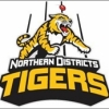 Northern Tigers 1ST Grade Logo