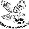 Tinana Eagles Logo