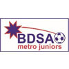 BDSA Logo
