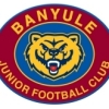 Banyule B Logo