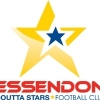 Essendon Doutta Stars Logo
