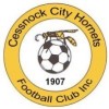 Cessnock City Hornets FC 13/01-2018 Logo