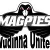 Wudinna United Logo
