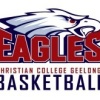 CC Eagles White Logo
