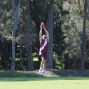 (2013) Round 5 - Sydney Hills Eagles