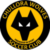 Central Sydney Wolves - YELLOW Logo