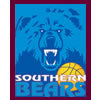 Bears B23.1 Logo