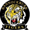 Tigers Gold Logo