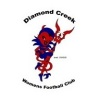 Diamond Creek Womens Blue Logo