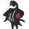 Salisbury - C7 Logo