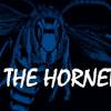 Haberfield Hornets Logo