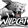 Wild Cats Logo
