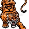 Crouching Tigers Logo