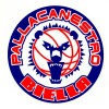 Angelico Biella Logo