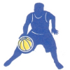 Mount Gambier Lakers Logo