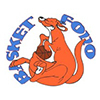 Basket Follo Logo