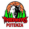 Timberwolves Potenza
